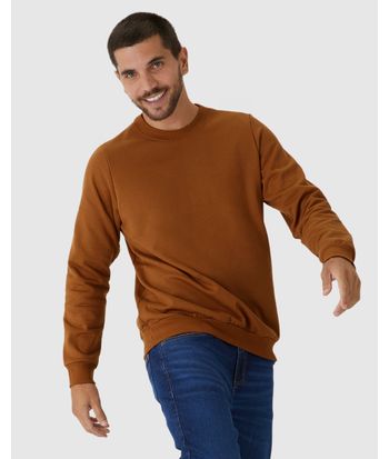 Blusão Básico Masculino Decote Redondo Em Moletom Flanelado