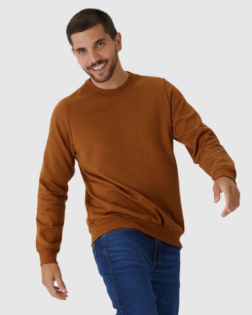Blusão Básico Masculino Decote Redondo Em Moletom Flanelado