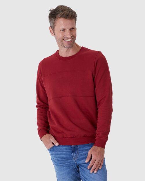 Blusão Masculino Nervura Frontal Em Moletom Flanelado