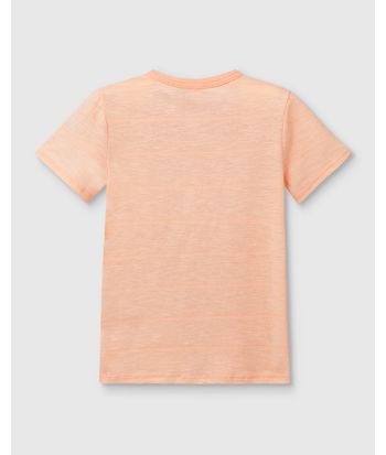 Camiseta Menino Estampa Com Bordado Em Malha Texturizada - Carinhoso