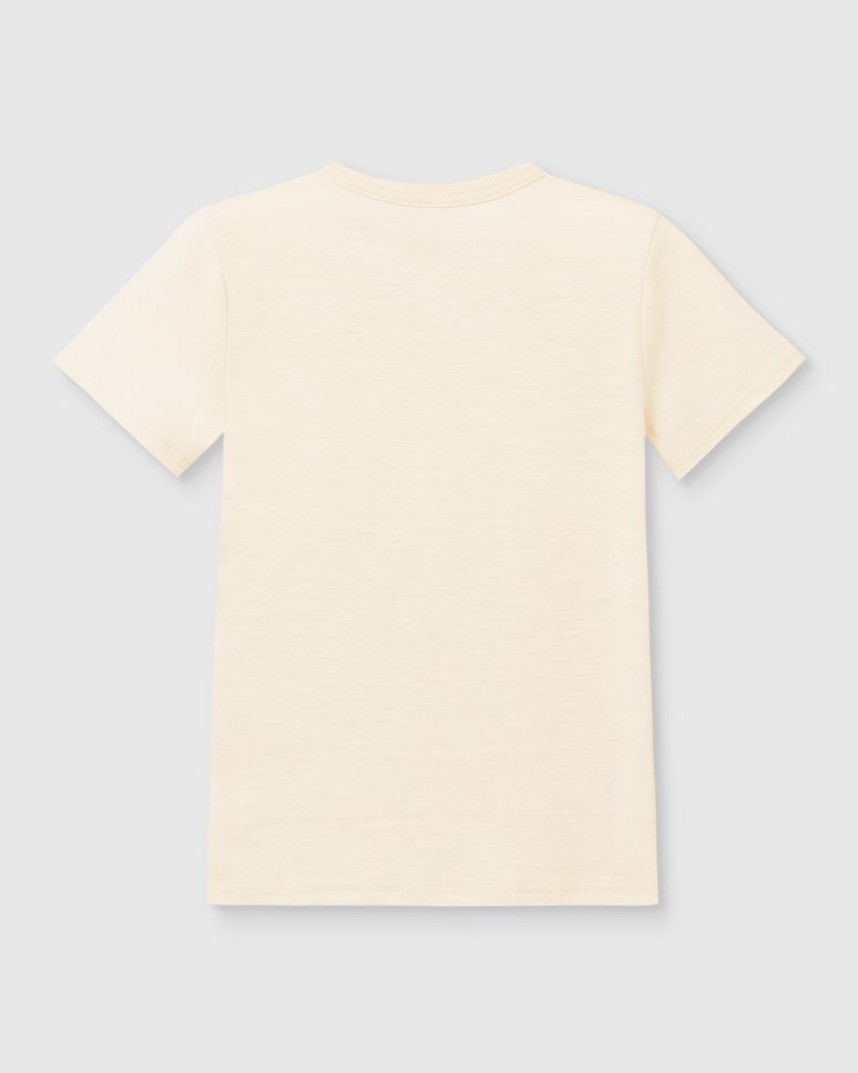 Camiseta Menino Estampa Com Bordado Em Malha Texturizada - Carinhoso