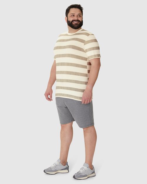 Camiseta Masculina Plus Size Estampa Listrada Em Malha Linho
