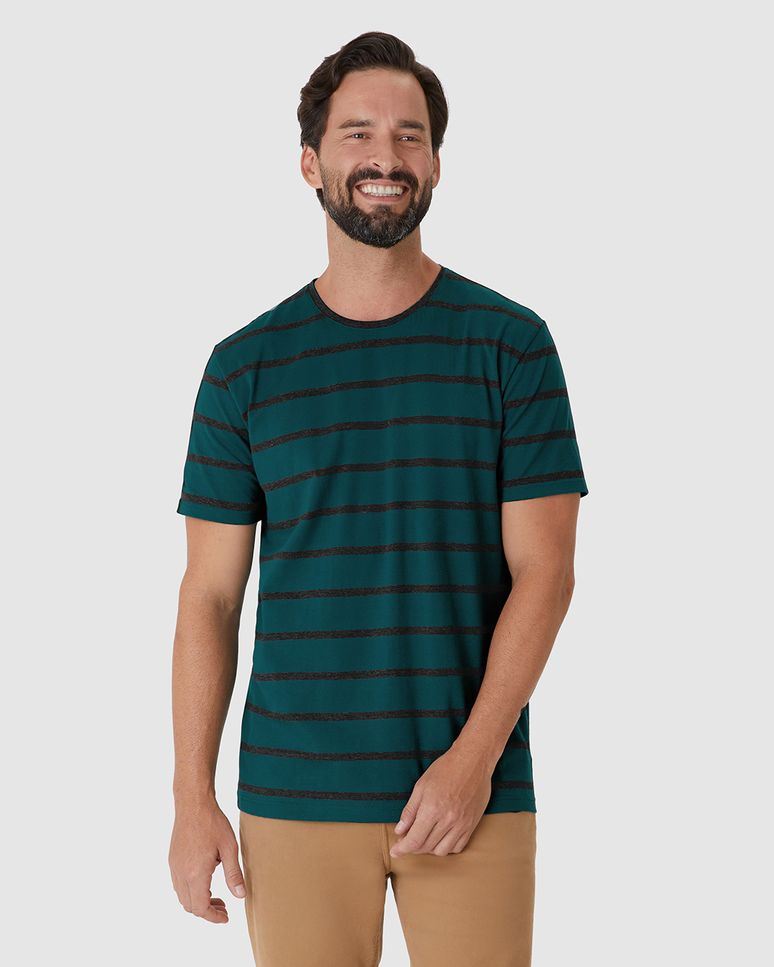 Camiseta Masculina Regular Decote Redondo Manga Curta Em Malha Listrada