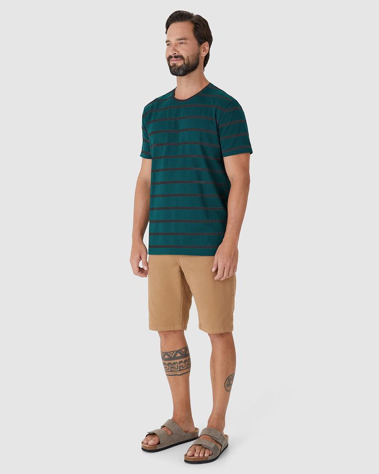 Camiseta Masculina Regular Decote Redondo Manga Curta Em Malha Listrada