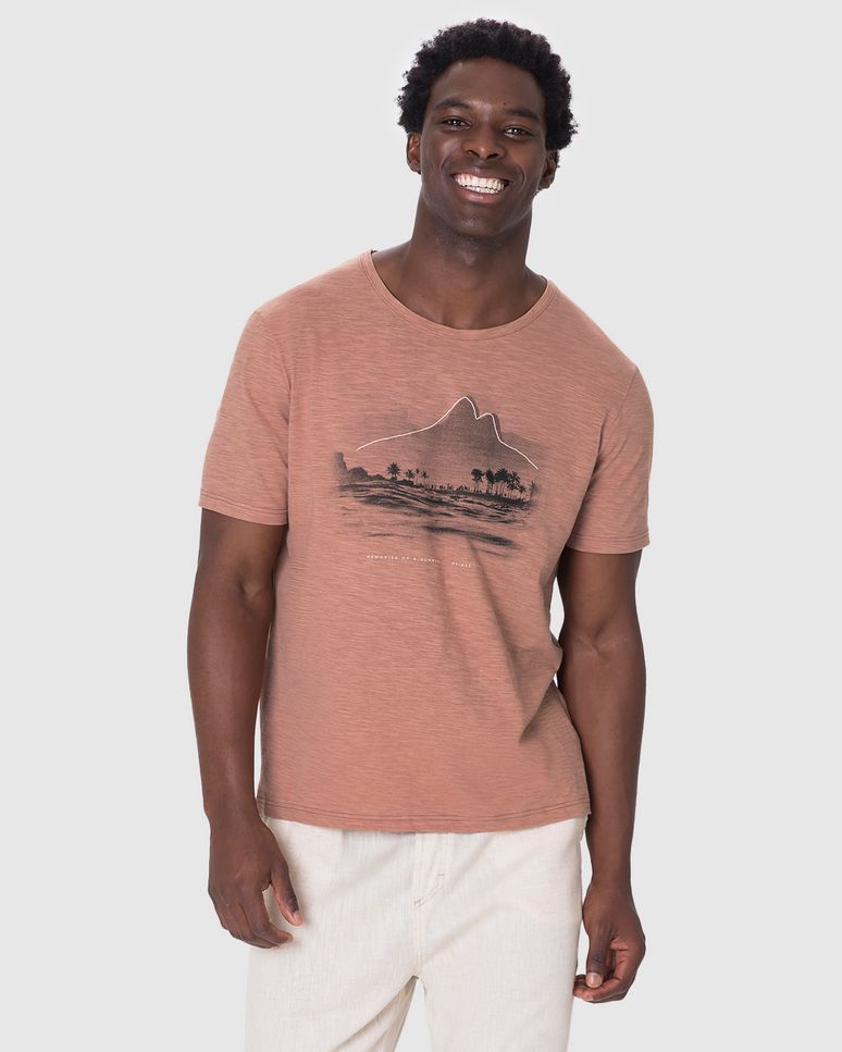 Camiseta Masculina Manga Curta Estampa Frontal Em Malha Flamê