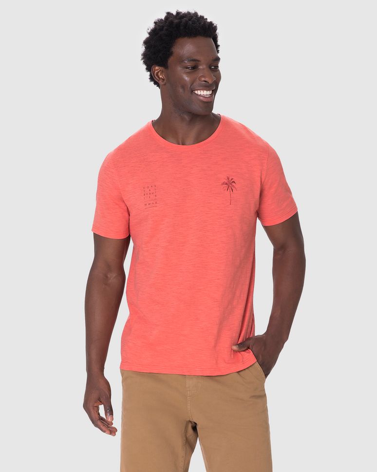 Camiseta Masculina Manga Curta Estampa Frontal Em Malha Flamê