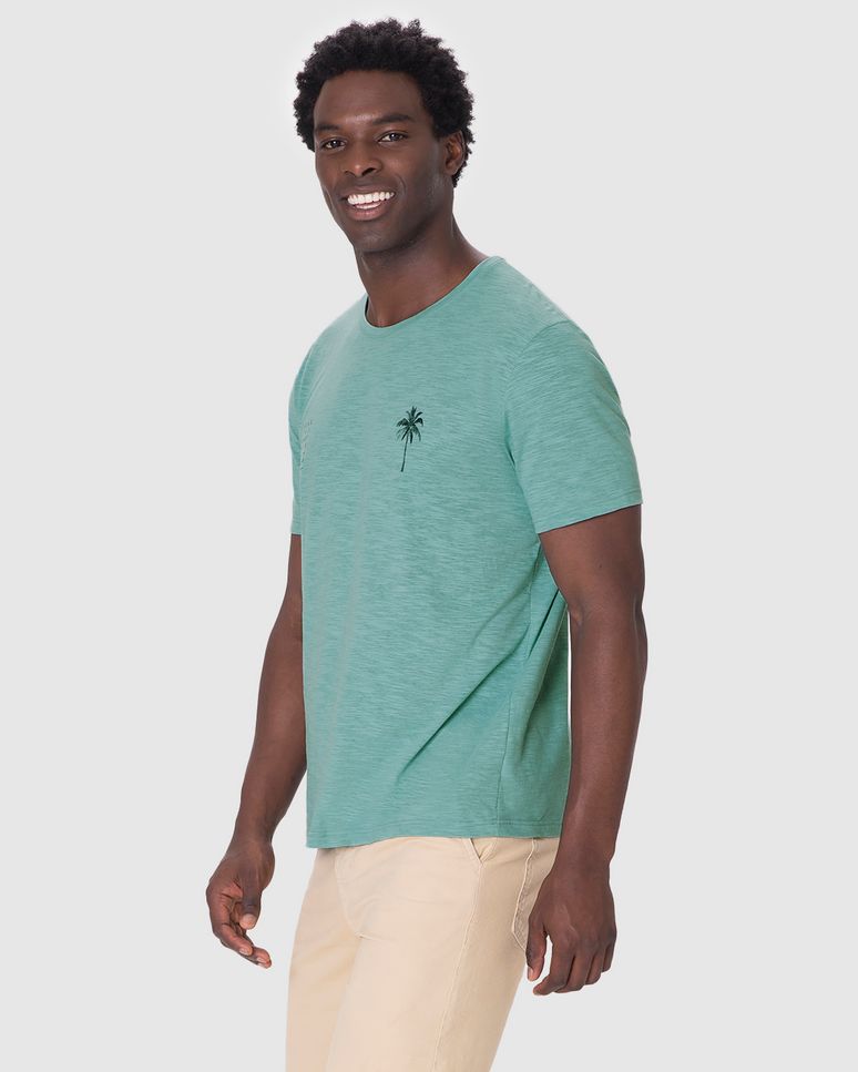 Camiseta Masculina Manga Curta Estampa Frontal Em Malha Flamê