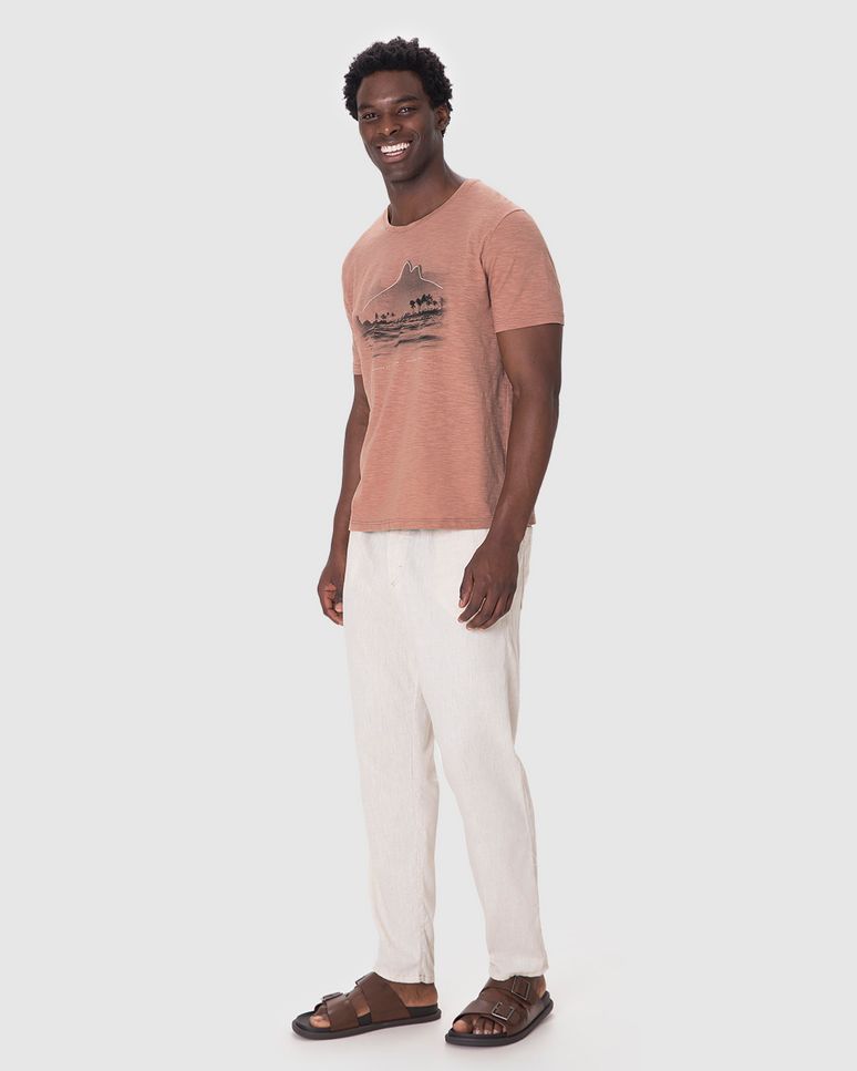 Camiseta Masculina Manga Curta Estampa Frontal Em Malha Flamê