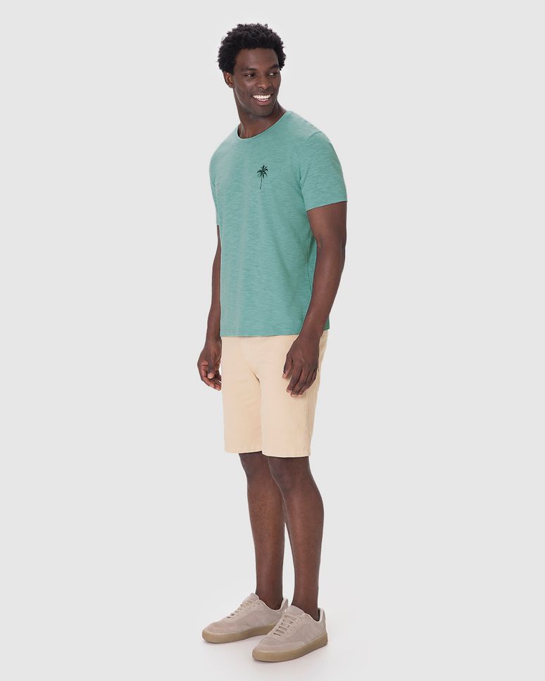 Camiseta Masculina Manga Curta Estampa Frontal Em Malha Flamê