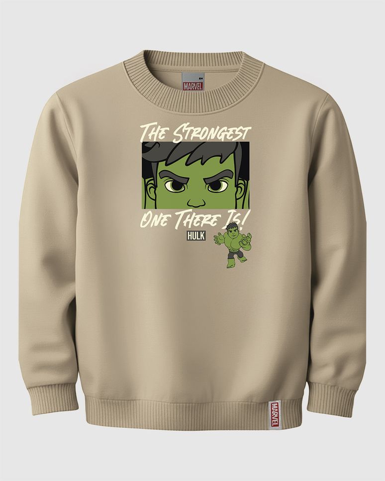 Blusão Infantil Menino Personagens Os Vingadores Em Moletom Malwee Kids