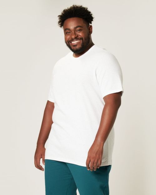 Camiseta Meia Malha Botonê Malwee Plus