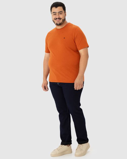Camiseta Básica Masculina Plus Size Com Bordado Em Malha Botonê