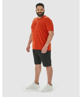Camiseta Masculina Plus Size Atlantic Forest Em Malha Botonê